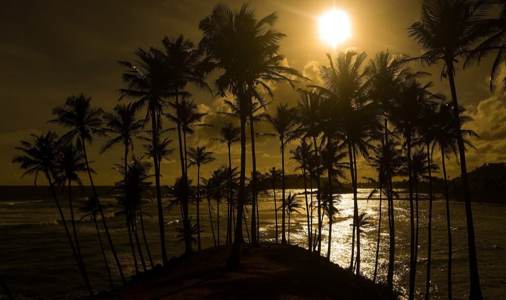 🌅 غروب ما بتنتسى